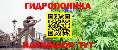 гидропоника Кимры