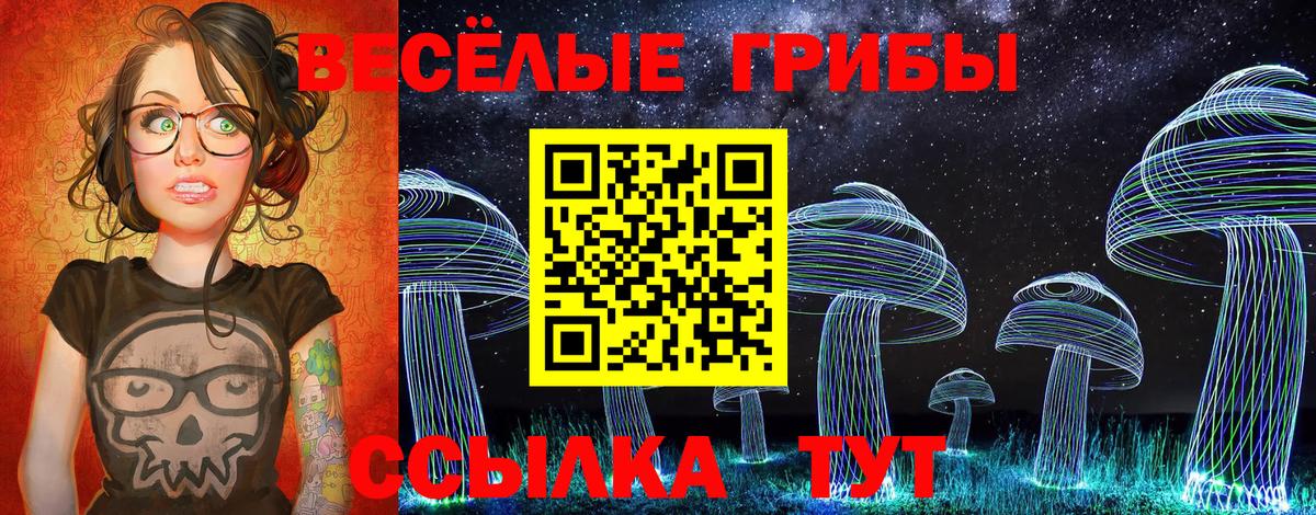 Галлюциногенные грибы мухоморы  Вход с VPN  продажа наркотиков  Черкесск 
